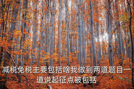 什么是減稅免稅，什么是稅收法定減免