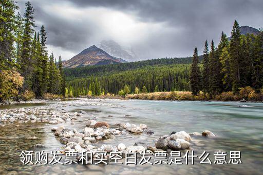 領(lǐng)取空白發(fā)票需要什么用，領(lǐng)用增值稅發(fā)票的時(shí)候內(nèi)開的空白發(fā)票要帶嗎