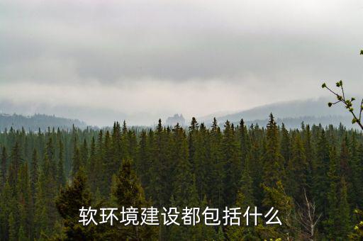 軟環(huán)境建設(shè)都包括什么