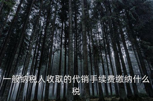 代理服務(wù)費(fèi)交什么稅，一般納稅人收取的代銷手續(xù)費(fèi)繳納什么稅