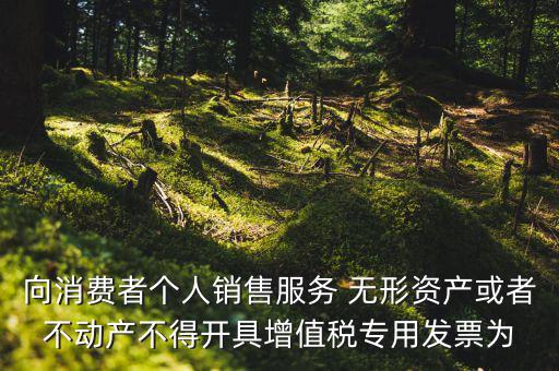 向消費(fèi)者個(gè)人銷售服務(wù) 無(wú)形資產(chǎn)或者不動(dòng)產(chǎn)不得開具增值稅專用發(fā)票為