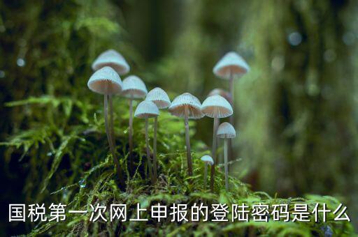 國(guó)稅登記密碼是什么，國(guó)稅第一次網(wǎng)上申報(bào)的登陸密碼是什么