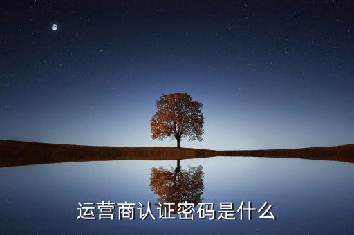 網(wǎng)上認證密碼密碼是什么，一般上網(wǎng)認證系統(tǒng)初始密碼是什么