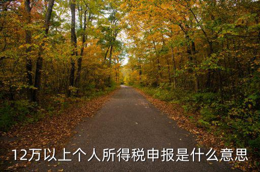 申報個稅什么意思，個稅明細申報是指什么