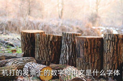 發(fā)票章中間數(shù)字是什么字體，機(jī)打的發(fā)票上的數(shù)字和中文是什么字體