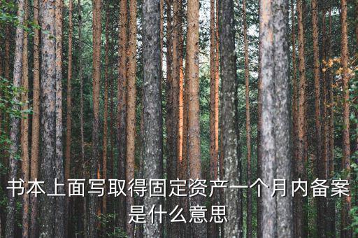 書(shū)本上面寫(xiě)取得固定資產(chǎn)一個(gè)月內(nèi)備案是什么意思