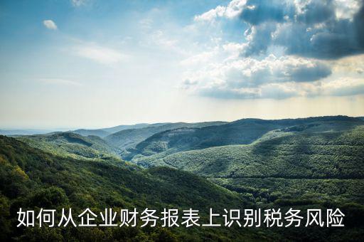 稅務(wù)風(fēng)險(xiǎn)核查是什么意思，虛開增值稅專用發(fā)票核查 什么意思