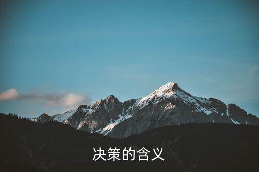 決策一包什么意思，決策的含義