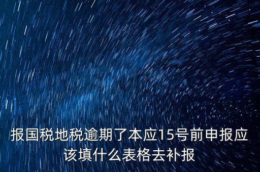 補(bǔ)錄國地稅信息都錄什么，報國稅地稅逾期了本應(yīng)15號前申報應(yīng)該填什么表格去補(bǔ)報