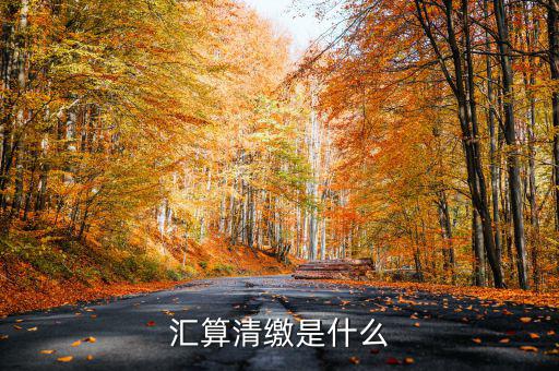 匯算清繳查賬都查什么，稅務(wù)局要對我司進行匯算清繳后的查帳包括費用帳成本帳往來帳