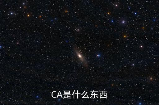 ca中心是什么，CA是什么東西