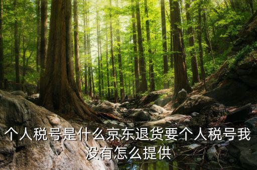 中心稅號是什么，稅號是15位還是8位的