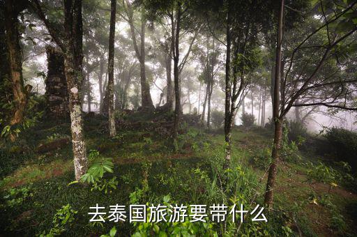 稅務局的信仰是什么，道德模范有哪些