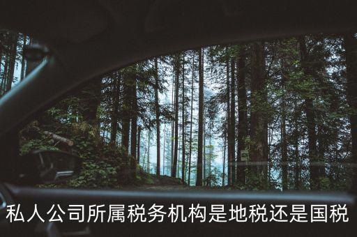 個(gè)人開企業(yè)交什么地稅局，私人公司所屬稅務(wù)機(jī)構(gòu)是地稅還是國稅