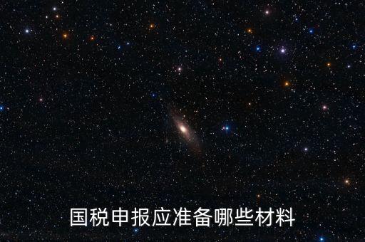 國稅申報應(yīng)準(zhǔn)備哪些材料