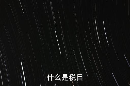 什么是稅法 文化，中華人民共和國地稅法