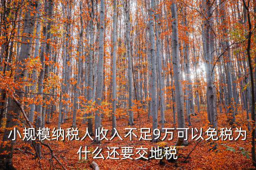 為什么納地稅，為什么要規(guī)定納稅地點