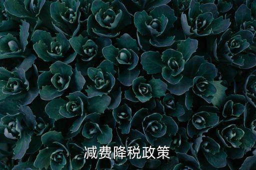 做好6項減稅政策的內容是什么，減費降稅政策