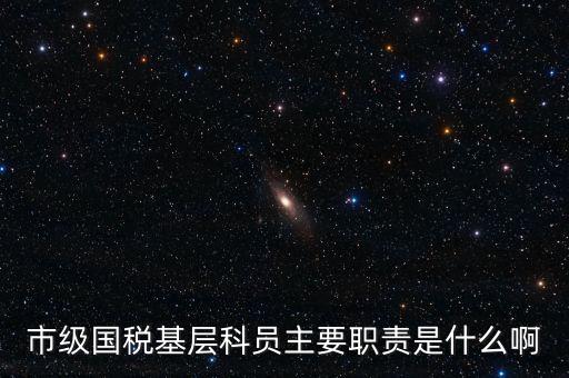 基層國(guó)稅辦公室做什么，請(qǐng)問國(guó)稅局基層分局科員縣域主要負(fù)責(zé)什么工作