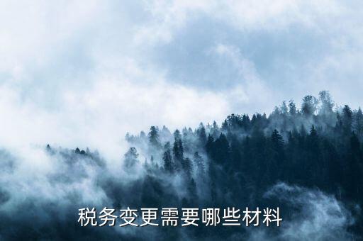 變更辦稅員要帶什么，財務(wù)負(fù)責(zé)人和辦稅員的變更需要辦理哪些手續(xù)