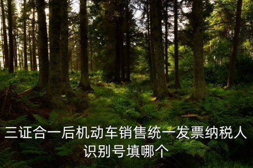 統(tǒng)一納稅識(shí)別號(hào)是什么，三證合一后機(jī)動(dòng)車銷售統(tǒng)一發(fā)票納稅人識(shí)別號(hào)填哪個(gè)