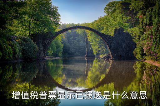 什么是報送報告，什么是報送審計