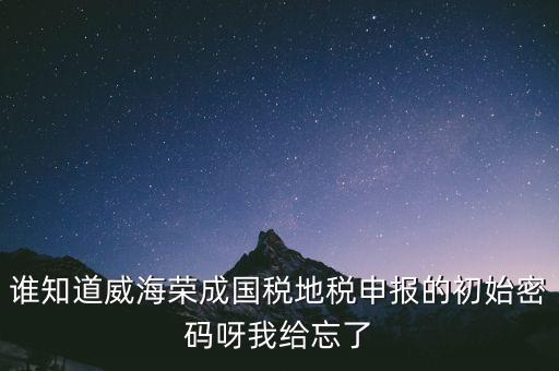 申報(bào)地稅的密碼是什么，徐州地稅網(wǎng)上申報(bào)的初始密碼是多少啊