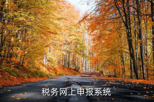 什么是稅收網報軟件，稅務網上申報系統(tǒng)