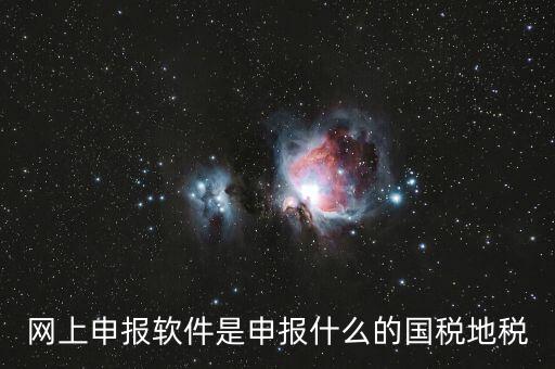 國(guó)稅申報(bào)軟件是什么，申報(bào)軟件是什么