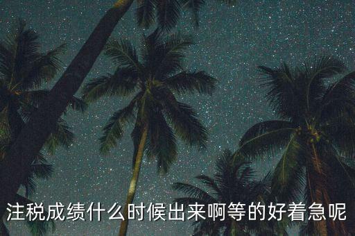 注稅成績(jī)什么時(shí)候出來(lái)啊等的好著急呢