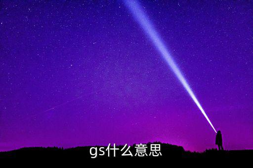 什么是gs系統(tǒng)，gs什么意思