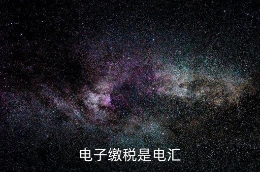 電子繳稅是什么，電子繳稅是電匯
