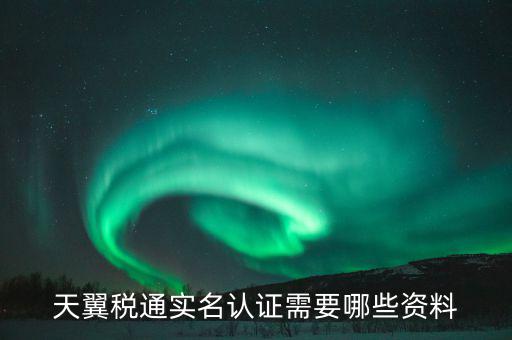 天翼稅通實名認證需要哪些資料