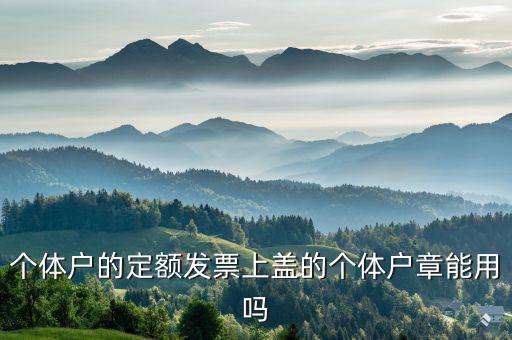 個(gè)體戶(hù)的定額發(fā)票上蓋的個(gè)體戶(hù)章能用嗎