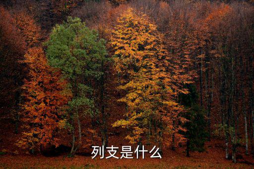 賠付支出能列支什么意思，列支是什么意思