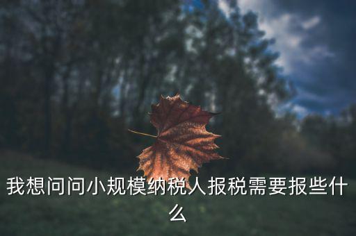 小規(guī)模國稅申報些什么，小規(guī)模納稅人國稅需要報什么資料