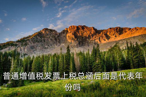 稅總涵2016代表什么意思，稅總財(cái)行便函201616號(hào)保險(xiǎn)公司開具保險(xiǎn)發(fā)票車船稅只在備注