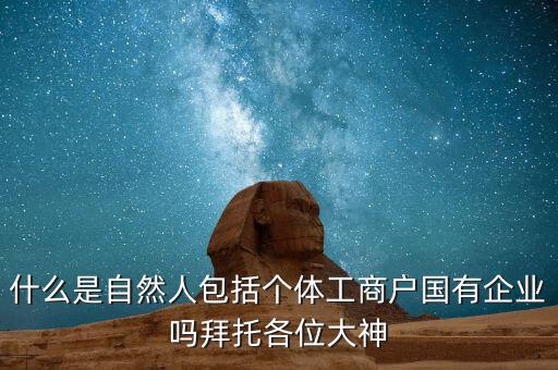 什么是自然人包括個(gè)體工商戶國有企業(yè)嗎拜托各位大神