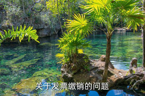 關于發(fā)票繳銷的問題
