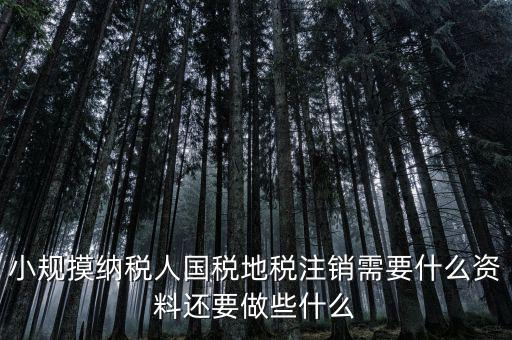 國地稅注銷需要什么，小規(guī)摸納稅人國稅地稅注銷需要什么資料還要做些什么