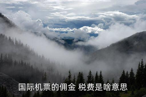 傭金稅是什么，請(qǐng)問(wèn)傭金交什么稅
