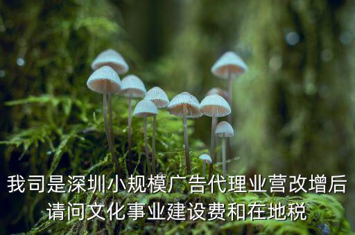我司是深圳小規(guī)模廣告代理業(yè)營改增后請(qǐng)問文化事業(yè)建設(shè)費(fèi)和在地稅