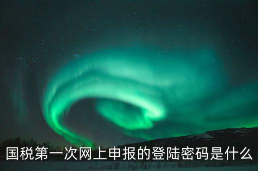 杭州國(guó)稅申報(bào)密碼是什么意思，國(guó)稅第一次網(wǎng)上申報(bào)的登陸密碼是什么