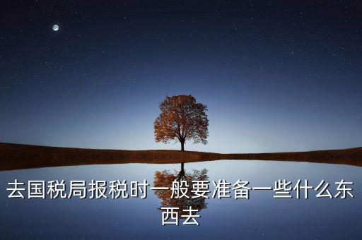 去國(guó)稅局都是帶什么東西，去國(guó)稅定稅要帶哪些東西啊我暈倒了以前從來沒定過