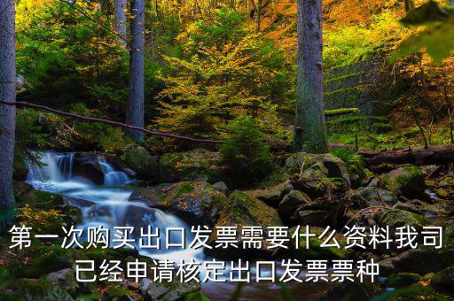 第一次購(gòu)買出口發(fā)票需要什么資料我司已經(jīng)申請(qǐng)核定出口發(fā)票票種