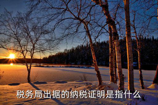 什么是稅收證明，什么是個(gè)人納稅證明