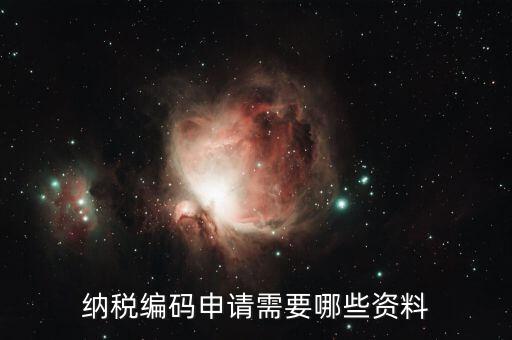 預(yù)約繳稅號(hào)需提供什么資料，納稅編碼申請(qǐng)需要哪些資料