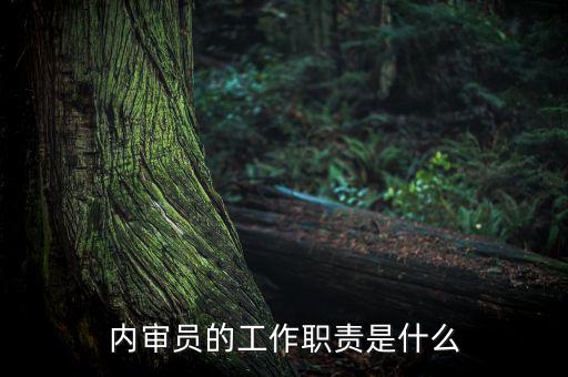 督察內(nèi)審是什么工作，內(nèi)審監(jiān)察主要工作職能