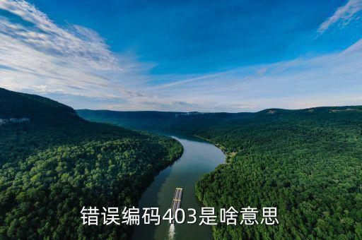 稅收分類編碼錯誤的是什么意思，錯誤編碼403是啥意思