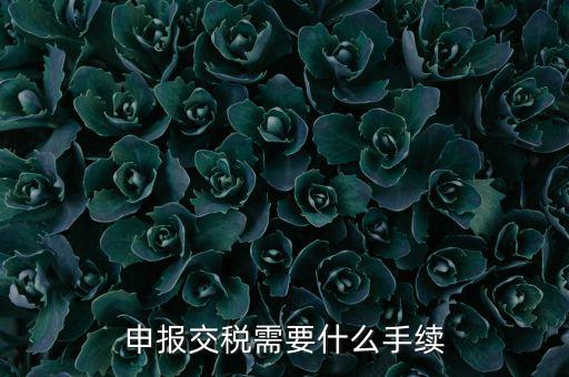 辦理稅務(wù)需要什么手續(xù)，稅務(wù)登記 代辦需要什么手續(xù)